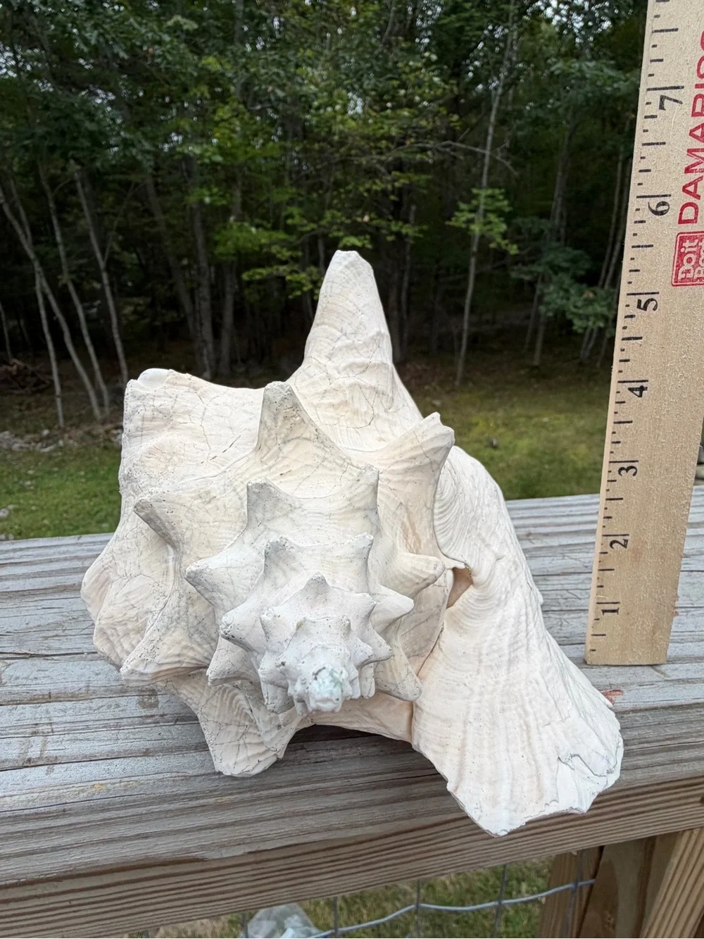 Coastal Decor weathered queen